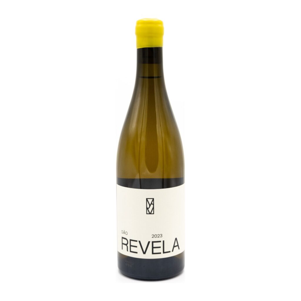 Mariana Salvador – Revela white blend 2024
